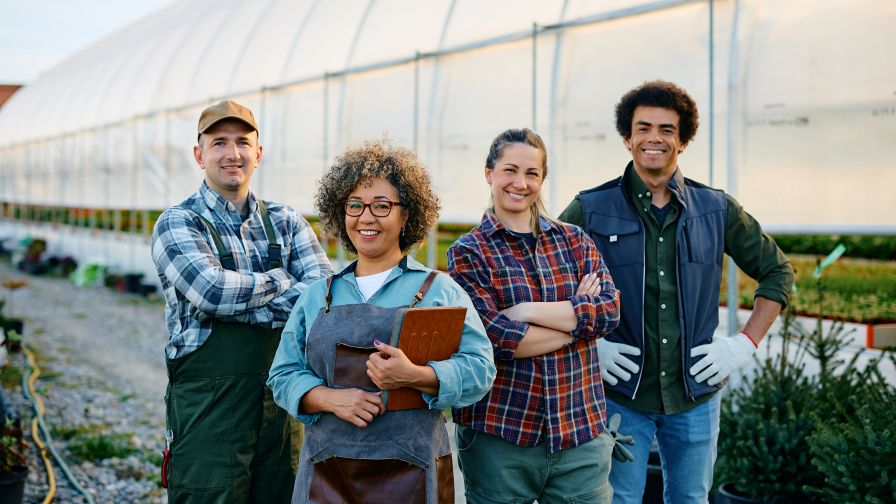Team at greenhouse site