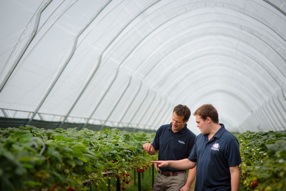 Substrate gutter profiles detail