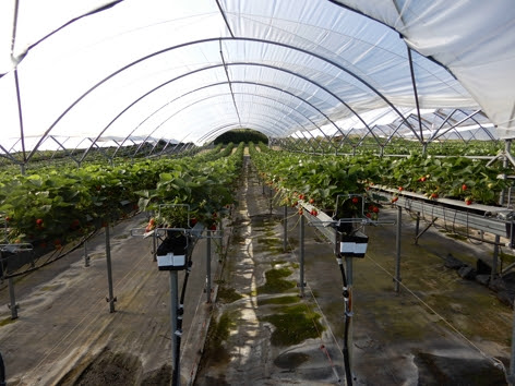 Substrate gutter support posts and wires